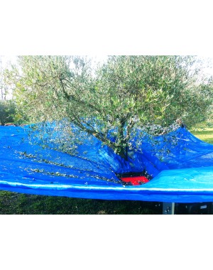 Olivenerntenetz Pugliese 6x6 M – Grün, UV-stabil, 90 G/m², Mit Ösen & Verstärkten Ecken