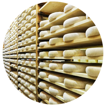 304 stainless steel cheese-making accessories – Dairy equipment