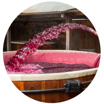 🍷 Bombas para Trasiego de Vino Profesionales