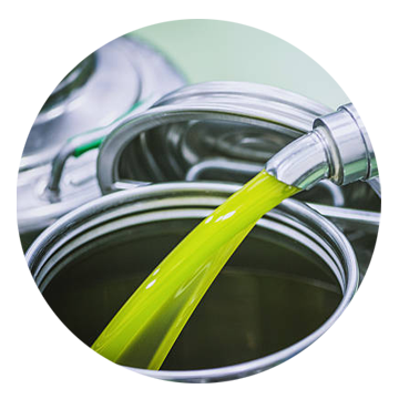 Professional Progressive Cavity Pumps for Olive Oil